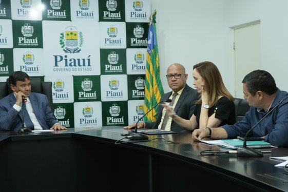 Reunião com técnicos do Grupo Mitrelli, Daniela Morshe