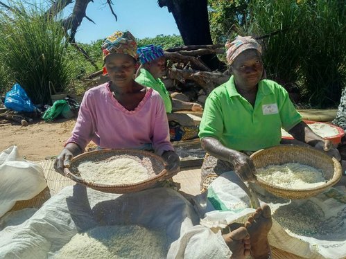 Piauienses fazem intercâmbio em Moçambique