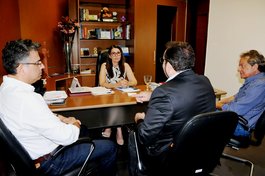 Reunião da governadora em exercício Margarete Coelho com lideranças de Corrente e sec. Guilhermano